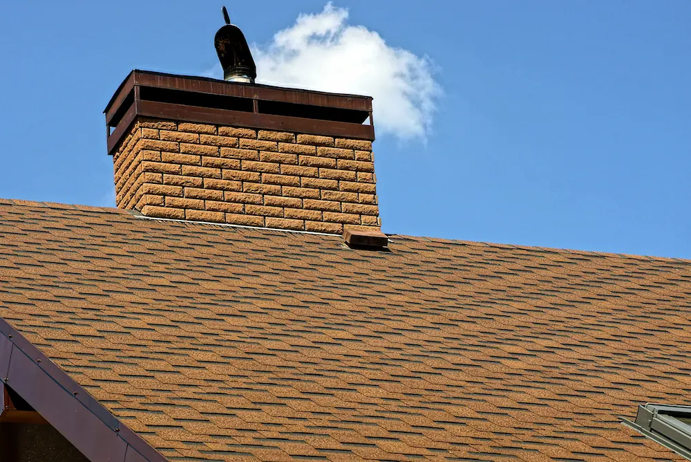 Chimney Services specialist